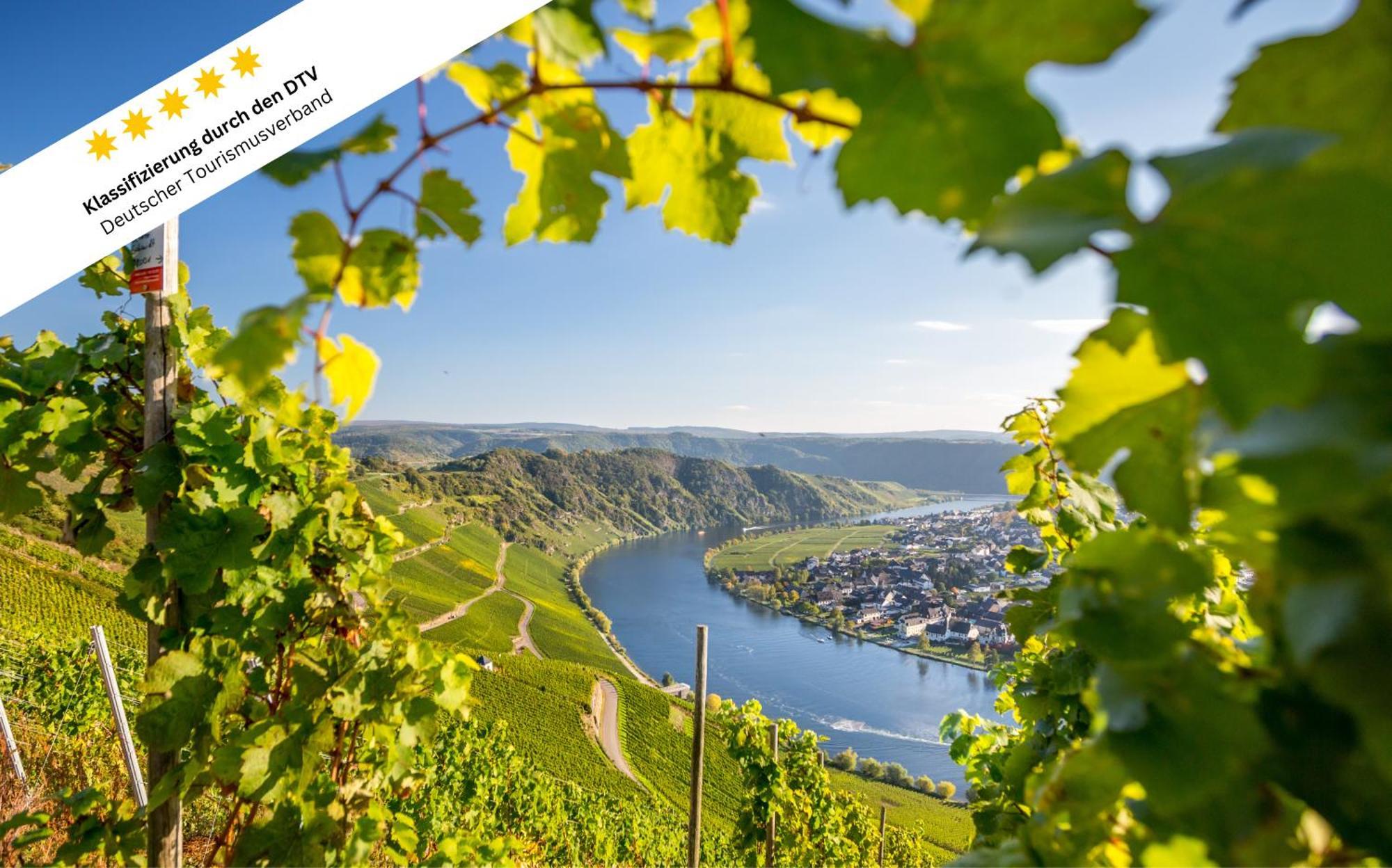 Wohlfuehloase An Der Mosel Apartment Osann-Monzel Exterior photo
